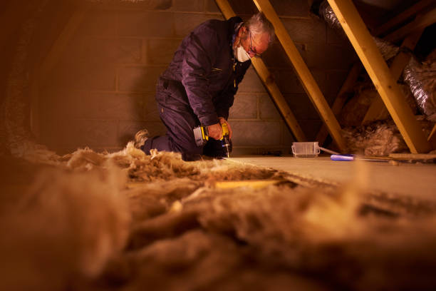 Best Cellulose Insulation in Fairfield, IL