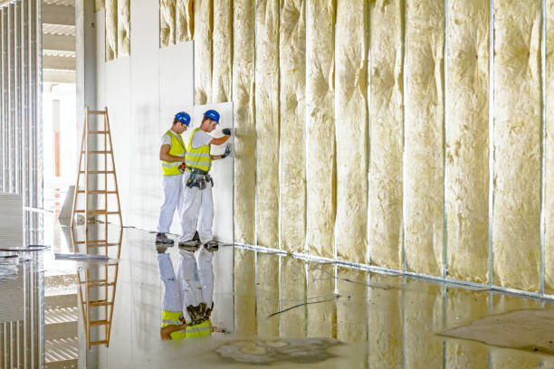 Best Eco-Friendly Insulation in Fairfield, IL